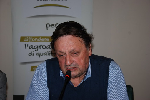 Dazi Usa, Rinaldi (Antica Azienda Raineri): “Così l’export di extravergine è a rischio” Dazi Usa, Rinaldi (Antica Azienda Raineri): “Così l’export di extravergine è a rischio”