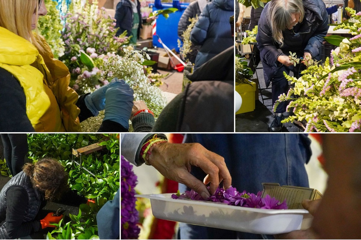 Sanremoinfiore 2025, notte prima… della sfilata: operai e volontari al lavoro per gli ultimi ritocchi ai carri fioriti (Foto e video) Sanremoinfiore 2025, notte prima… della sfilata: operai e volontari al lavoro per gli ultimi ritocchi ai carri fioriti (Foto e video)