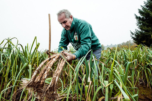 Foto di Barbara Guazzone Foto di Barbara Guazzone
