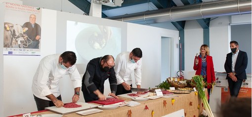 A Cuneo scatta il conto alla rovescia per la 41ª Mostra Nazionale Bovini di Razza Piemontese (Video)