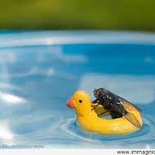 L'Almanacco di Sanremo news. Cominciamo a metterla sull'estivo...qualcosa inizierà ad arrivare.