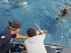 Due tartarughe marine Caretta caretta tornano in mare dopo le cure all’Acquario di Genova Due tartarughe marine Caretta caretta tornano in mare dopo le cure all’Acquario di Genova