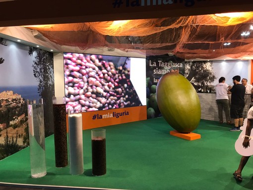 Il Presidente Toti inaugurerà oggi a Rimini lo stand '#lamialiguria' dedicato all'oliva taggiasca