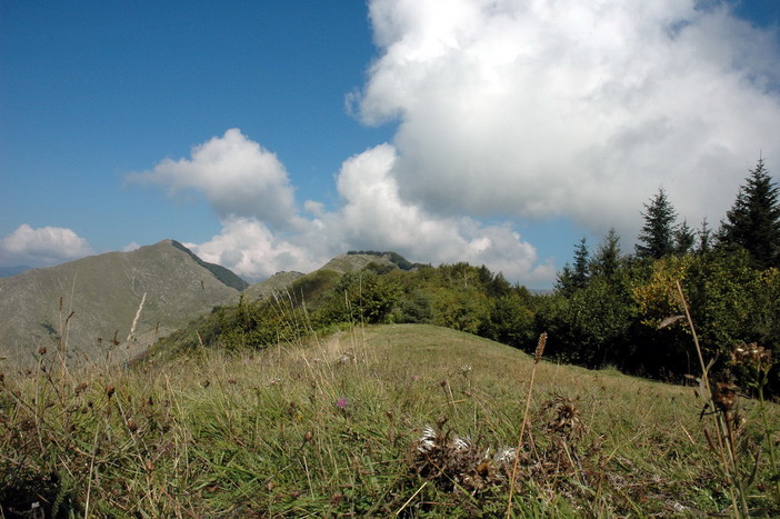 Tutti gli appuntamenti di questo primo weekend di luglio nel Parco Naturale Regionale delle Alpi Liguri