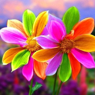 L'Almanacco di Sanremo news. Su che lato del corpo dormi? Il sinistro? Bene...