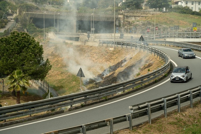 Incendi boschivi, dalla Regione Liguria il decalogo per prevenire i roghi e proteggere il patrimonio verde Incendi boschivi, dalla Regione Liguria il decalogo per prevenire i roghi e proteggere il patrimonio verde
