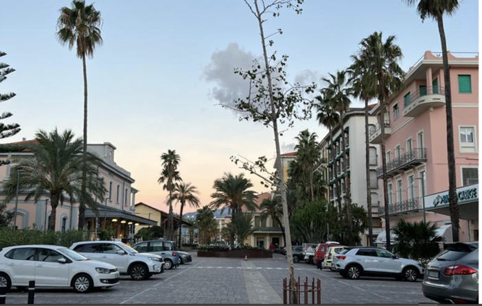 Bordighera, la Caporetto dei ginkgo biloba di piazza della stazione: parla il Comitato spontaneo del verde