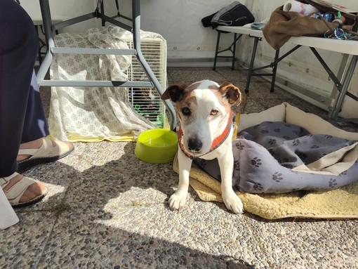 Bomba Day, agli ‘sfollati’ di Riva distribuito un rancio alpino cucinato dal gruppo Ana (foto e video)