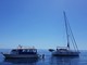 Imbarcazione alla deriva al largo di Ventimiglia, interviene la guardia costiera (video)