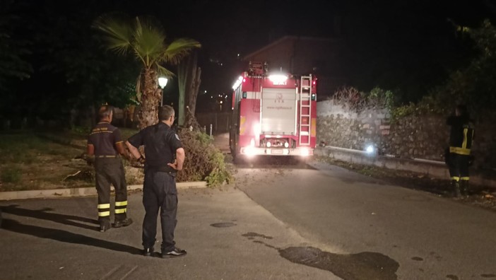 Bordighera, grosso ramo cade all'interno del Saint Charles: intervento dei vigili del fuoco (foto)