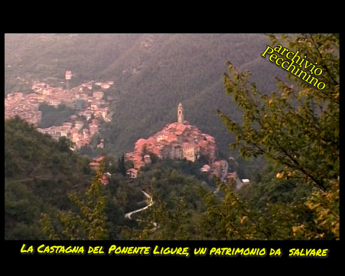 I video di Roberto Pecchinino, riviviamo 'La Castagnicoltura ligure: un patrimonio da difendere e salvaguardare' a Castelvittorio il 20 ottobre 2006