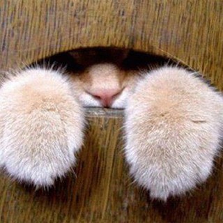 L'Almanacco di Sanremo news: 25 scuse per non andare a lavorare. T'interessano? C'è anche dell'altro però.