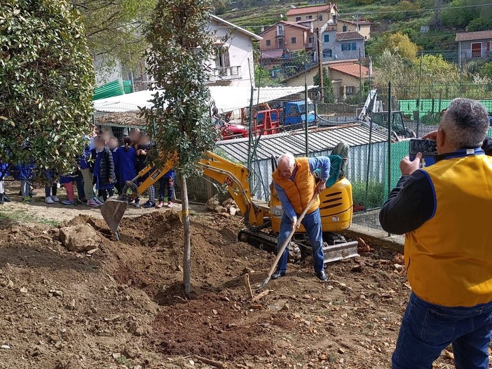 Il Lions Capo Nero Host di Bordighera dona un albero alla scuola Maria Primina (foto) Il Lions Capo Nero Host di Bordighera dona un albero alla scuola Maria Primina (foto)