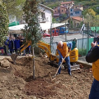 Il Lions Capo Nero Host di Bordighera  dona un albero alla scuola Maria Primina (foto)