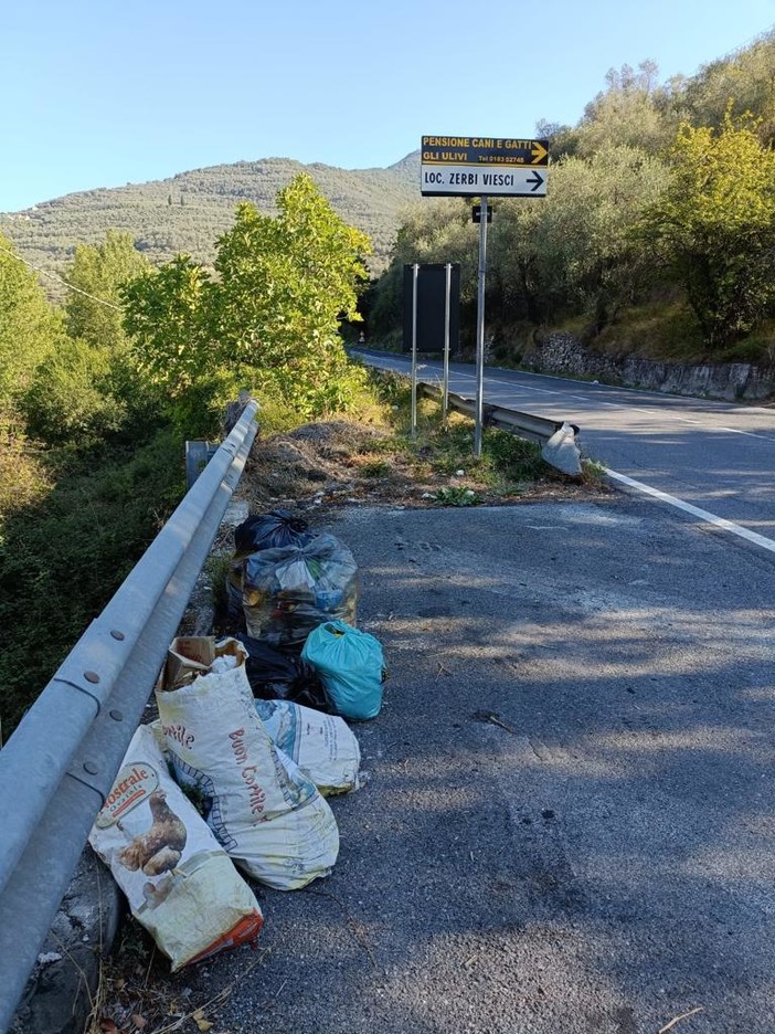 Degrado lungo la Statale 28, appello dell’imprenditore Pierluigi Rinaldi a istituzioni e candidati: "Impossibile lavorare e promuovere i prodotti locali"