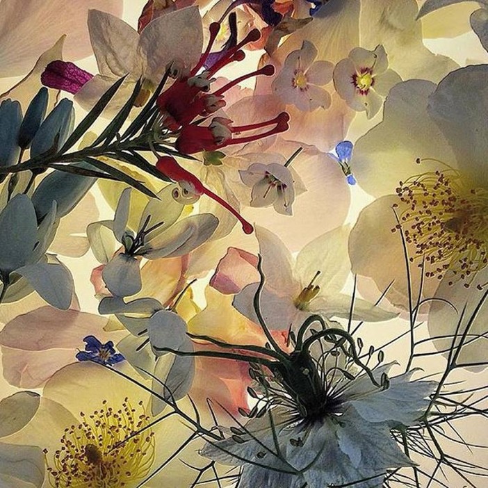 L'Almanacco di Sanremo news. E' inutile sentirsi liberi avendo... L'Almanacco di Sanremo news. E' inutile sentirsi liberi avendo...