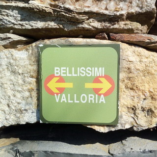 Il segna percorso del nuovo itinerario Bellissimi-Valloria in val Prino. Il segna percorso del nuovo itinerario Bellissimi-Valloria in val Prino.