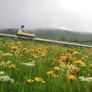Ad Artesina, un'estate a misura di famiglia con divertimento per turisti di tutte le età