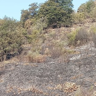 Incendio di Pontedassio, fiamme sotto controllo. In fumo sottobosco di macchia mediterranea (foto)