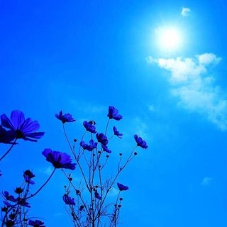 L'Almanacco di Sanremo news. Se ieri eravamo a 100, oggi 100 e 1 almanacco per voi...