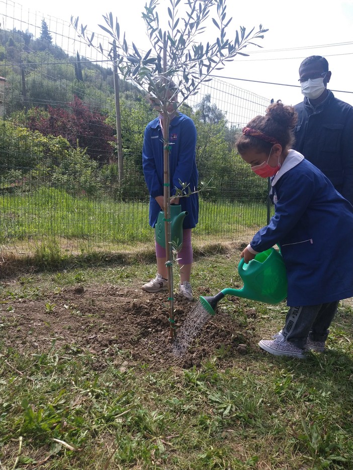 Istituto Comprensivo Sanremo Centro Levante, piantato l’ulivo della pace (foto) Istituto Comprensivo Sanremo Centro Levante, piantato l’ulivo della pace (foto)