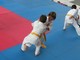 Imperia: domenica prossima al Palazzetto dello Sport uno stage di Judo con il M° Sugiyama Shoji