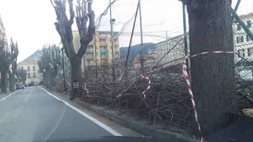 Vallecrosia: il gruppo "Vallecrosia Viva" si esprime sulla situazione della città e in particolare di via Don Bosco
