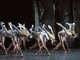 'Lac': spettacolo di balletto al Théâtre National di Nizza 'Lac': spettacolo di balletto al Théâtre National di Nizza