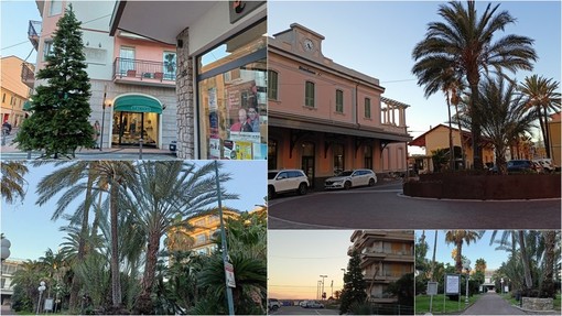 Bordighera verso il Natale, in città spuntano i primi addobbi (Foto) Bordighera verso il Natale, in città spuntano i primi addobbi (Foto)