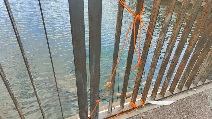 Imperia, pesca con una ‘trappola a ombrello’ fissata al ponte Agnesi: è caccia ai responsabili (foto)