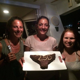 Santuario dei Cetacei: una torta a forma di 'pinna' per festeggiare il, 205° avvistamento della stagione