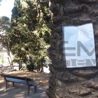 Bordighera: salvataggio fai-da-te su palme colpite da punteruolo rosso, l’intervento di anonimi cittadini senza autorizzazione