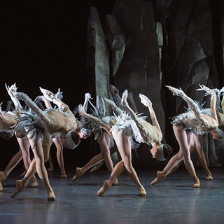 'Lac': spettacolo di balletto al Théâtre National di Nizza 'Lac': spettacolo di balletto al Théâtre National di Nizza