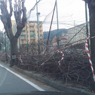 Vallecrosia: il gruppo "Vallecrosia Viva" si esprime sulla situazione della città e in particolare di via Don Bosco