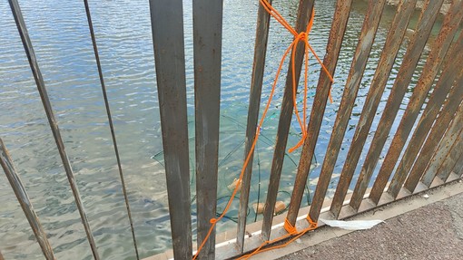 Imperia, pesca con una ‘trappola a ombrello’ fissata al ponte Agnesi: è caccia ai responsabili (foto)