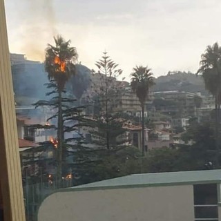 Paura a Santo Stefano al Mare: fulmine colpisce palma che va a fuoco