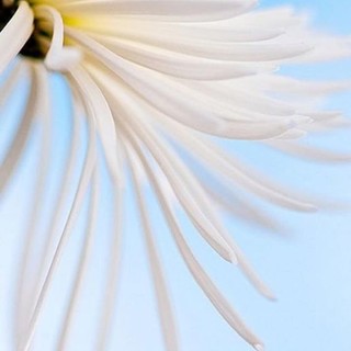 L'Almanacco di Sanremo news: qual è il nome di Volta? Sei sicuro della tua risposta?...puoi confrontarla nella pagina di oggi. L'Almanacco di Sanremo news: qual è il nome di Volta? Sei sicuro della tua risposta?...puoi confrontarla nella pagina di oggi.