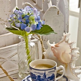 L'Almanacco di Sanremo news. La domenica è per noi.. L'Almanacco di Sanremo news. La domenica è per noi..