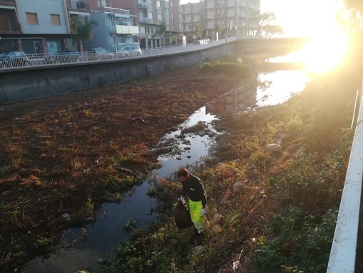 Diano Marina, Egea e Accademia Kronos ripuliscono la foce dell'Evigno: raccolti 12 sacchi di rifiuti da 110 litri (foto) Diano Marina, Egea e Accademia Kronos ripuliscono la foce dell'Evigno: raccolti 12 sacchi di rifiuti da 110 litri (foto)