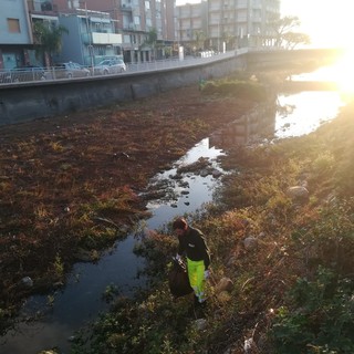 Diano Marina, Egea e Accademia Kronos ripuliscono la foce dell'Evigno: raccolti  12 sacchi di rifiuti da 110 litri (foto)