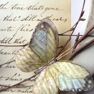 L'Almanacco di Sanremo news. Ancora oggi e poi...