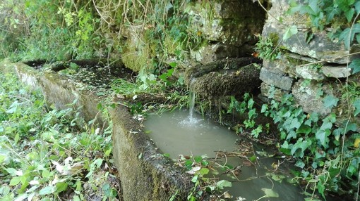 Domenica prossima, escursione alla cappella campestre di San Bernardo di Lavina