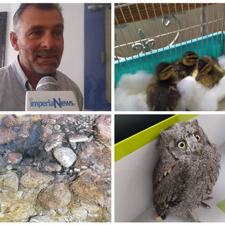 Guardie zoofile provinciali, il presidente Gandolfo stila il bilancio di un anno: “Contrasto costante al maltrattamento degli animali” (foto)