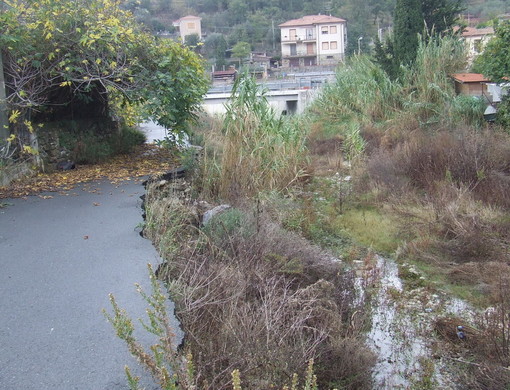 L'incuria in un tratto del Caramagna