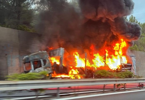 Imperia, incendio in A10: camion divorato dalle fiamme (foto) Imperia, incendio in A10: camion divorato dalle fiamme (foto)