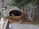 Non c'è pace per la statale 20: un enorme albero cade sulla strada tra Fontan e St Dalmas de Tende, circolazione sospesa
