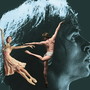 Gala di danza ‘Omaggio a Nureyev’ al Teatro Ariston di Sanremo