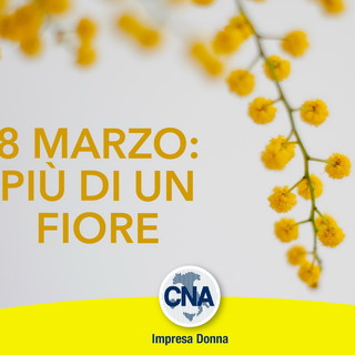 Indagine CNA: le imprese “in rosa” crescono anche durante la crisi ma il tetto di cristallo rimane intatto Indagine CNA: le imprese “in rosa” crescono anche durante la crisi ma il tetto di cristallo rimane intatto