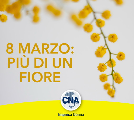 Indagine CNA: le imprese “in rosa” crescono anche durante la crisi ma il tetto di cristallo rimane intatto Indagine CNA: le imprese “in rosa” crescono anche durante la crisi ma il tetto di cristallo rimane intatto
