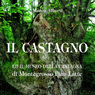 Imperia: presentazione libro 'Il Castagno' di Marco Alberti
